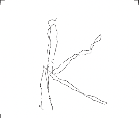 Breakfast Grid Image 8